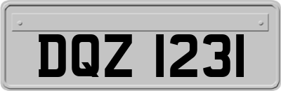 DQZ1231