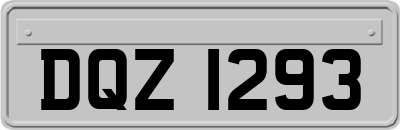DQZ1293