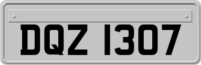 DQZ1307