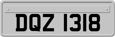 DQZ1318