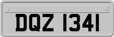DQZ1341