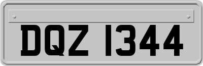 DQZ1344