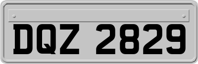 DQZ2829