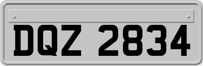 DQZ2834