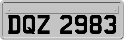 DQZ2983