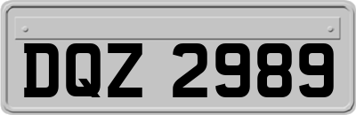 DQZ2989