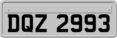 DQZ2993
