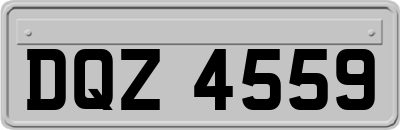 DQZ4559