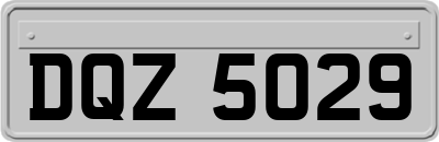 DQZ5029