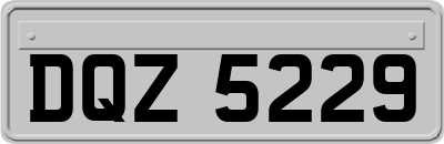 DQZ5229