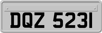 DQZ5231