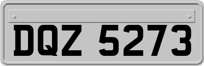 DQZ5273
