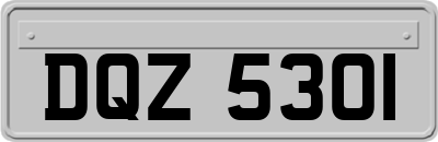 DQZ5301