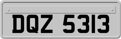 DQZ5313