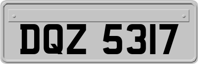 DQZ5317