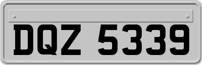 DQZ5339