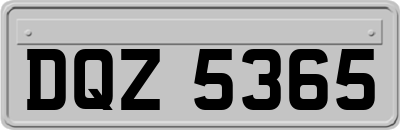 DQZ5365