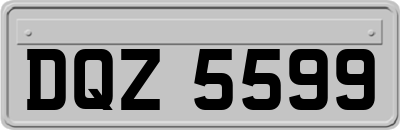 DQZ5599