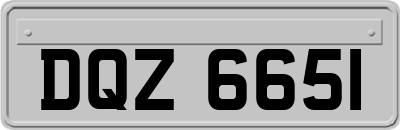 DQZ6651