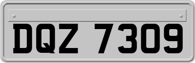 DQZ7309