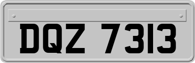 DQZ7313