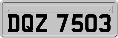 DQZ7503