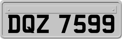 DQZ7599