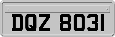 DQZ8031