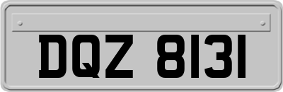 DQZ8131