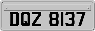 DQZ8137