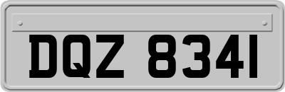 DQZ8341