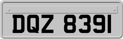 DQZ8391