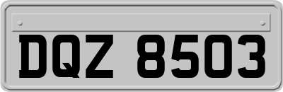 DQZ8503
