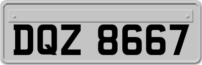 DQZ8667
