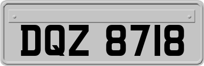 DQZ8718