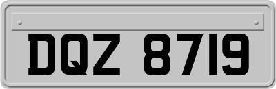 DQZ8719