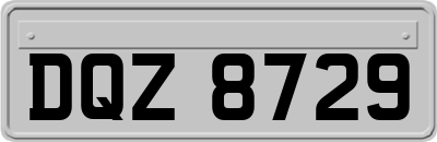 DQZ8729