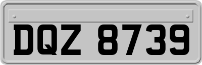DQZ8739