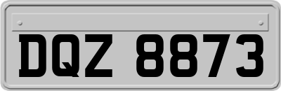 DQZ8873