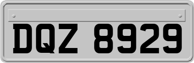 DQZ8929