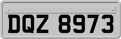 DQZ8973