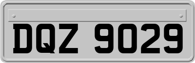 DQZ9029