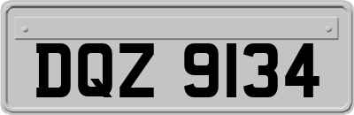DQZ9134