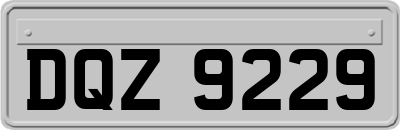DQZ9229