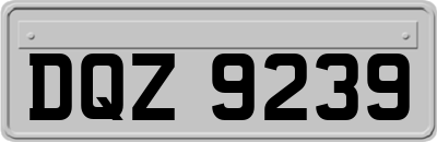 DQZ9239