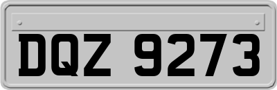 DQZ9273