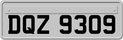 DQZ9309