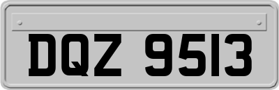 DQZ9513