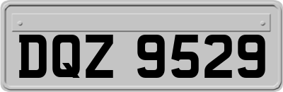 DQZ9529