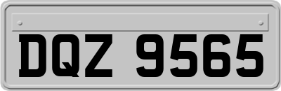 DQZ9565